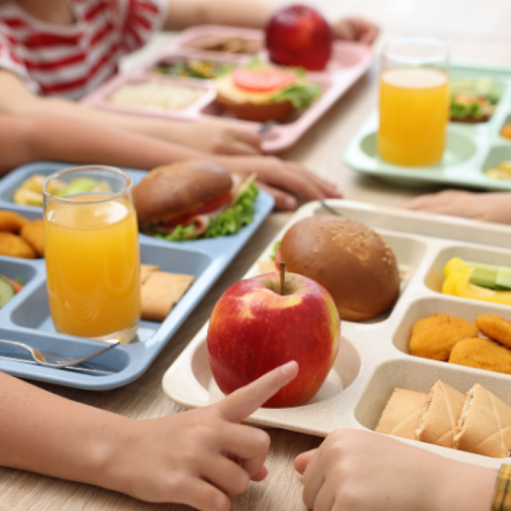 Reusable lunch trays