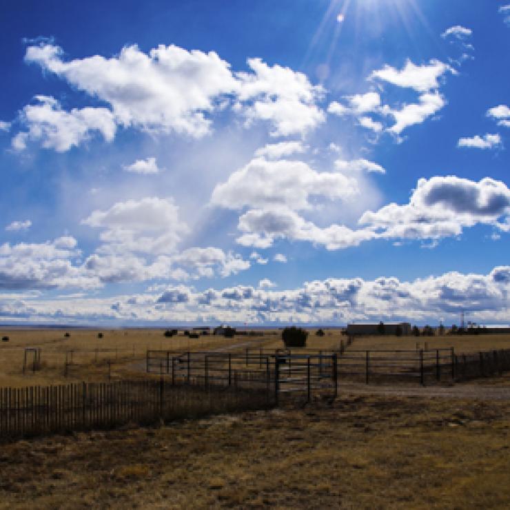 Amarillo Farm Fields. Credt - iStock Photo