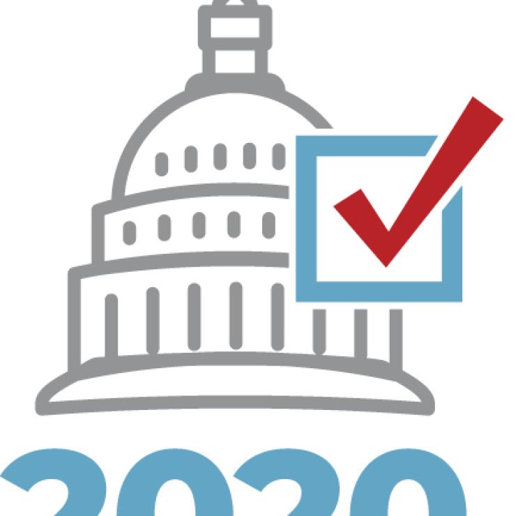 2020 elections graphic