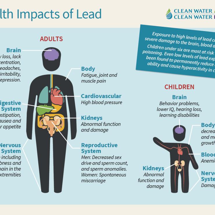 Health Impacts of Lead - graphic