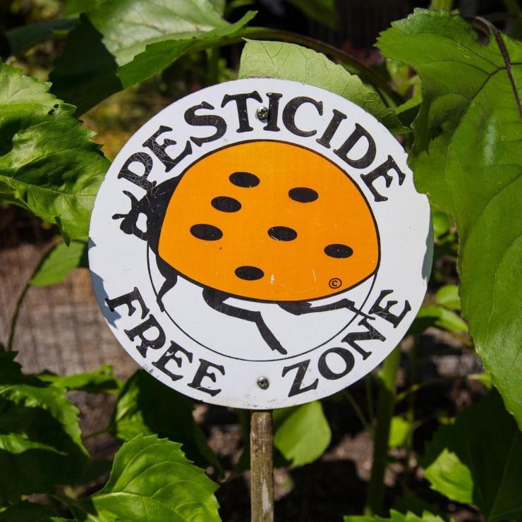 Pesticide_PFZ_Canva.jpg