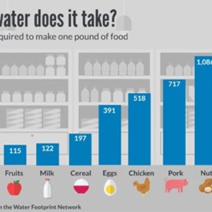Water Consumption of Producing Foods