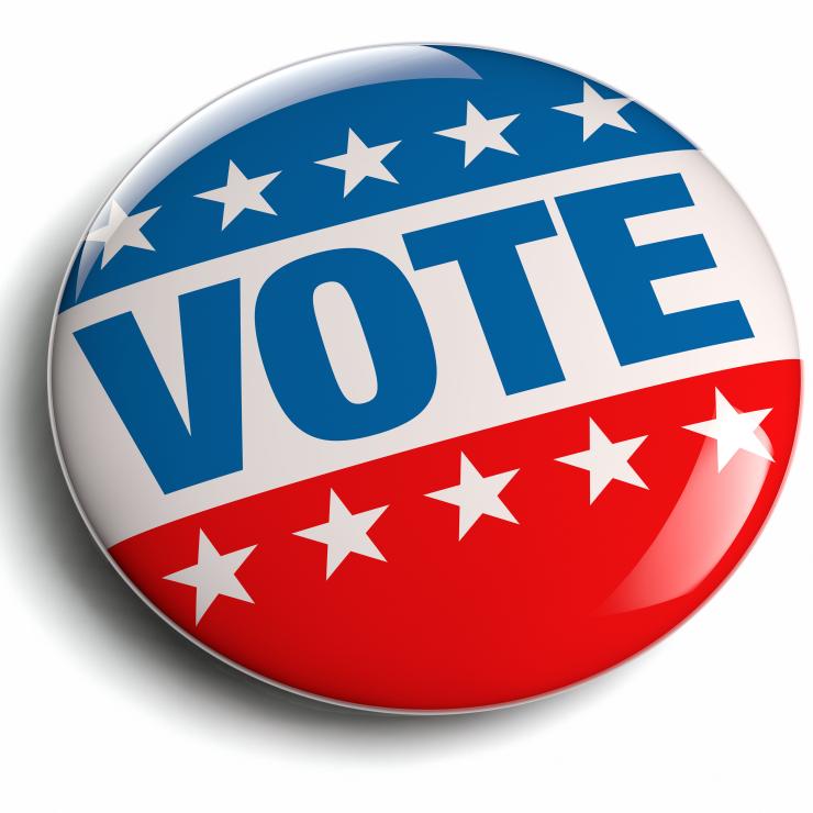 Vote! Credit: PhotoStockImage / Shutterstock