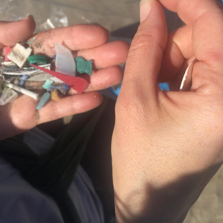 We found thousands of small pieces of plastic on our cleanup, which choke marine life.