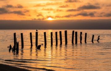 Chesapeake Bay at sunset image from canva