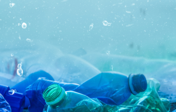 Plastic bottle waste, underwater