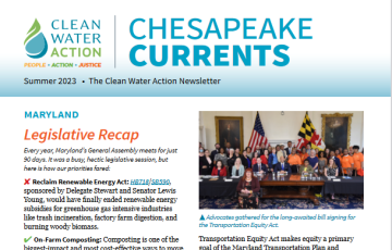 Chesapeake | Summer 2023 Currents