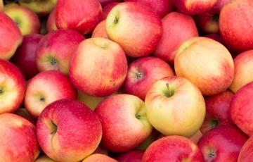 Image of apples from Canva