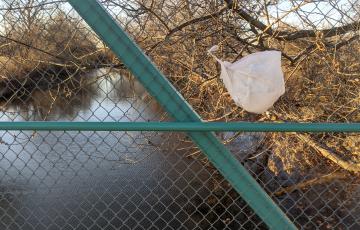 Plastic bag caught on fence by river. Credit: Jennifer Schlicht