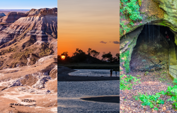 Petrified Forest National Park, Gateway National Recreation Area, Mammoth Cave National Park