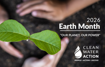 Green plant sprouting out of ground with hands planting for Earth Month