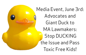 inflatable duck