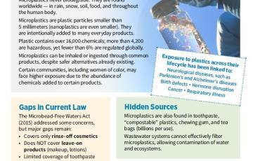 Microplastics Fact Sheet Publication Cover Image by Emily Scott Designs