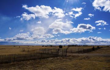 Amarillo Farm Fields. Credt - iStock Photo