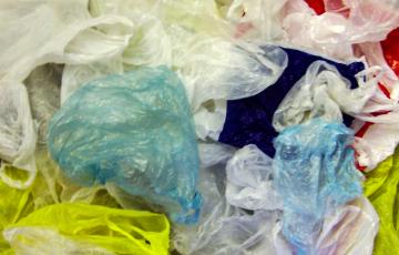 Plastic bag waste -- credit wikicommons