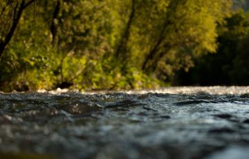 Stream, image from the surface of the water. Photo credit: Olesya Mishkina / Shutterstock