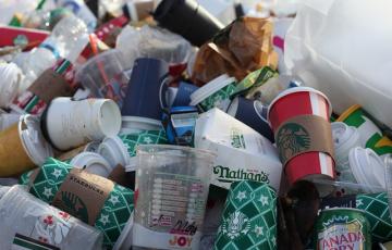discarded coffee cups in trash