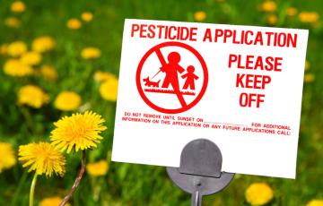 Pesticide application sign, field of dandelions