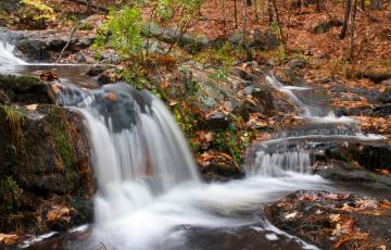 Small water fall, in a forest