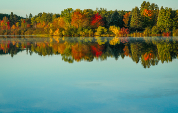 Minnesota Lake with Fall Leaf Colors