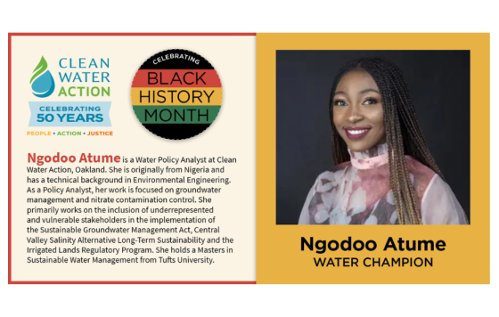 Clean Water Action Black History Month Water Champion: Ngodoo Atume