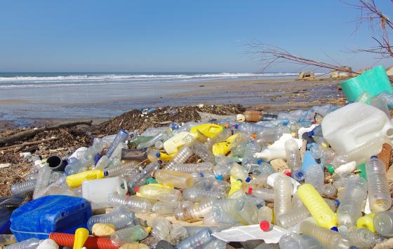 Zero Waste - Plastic Pollution