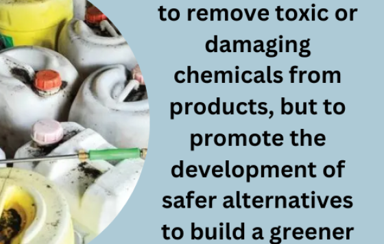 We work not only to remove toxic or damaging chemicals from products, but to promote the development of safer alternatives to build a greener economy