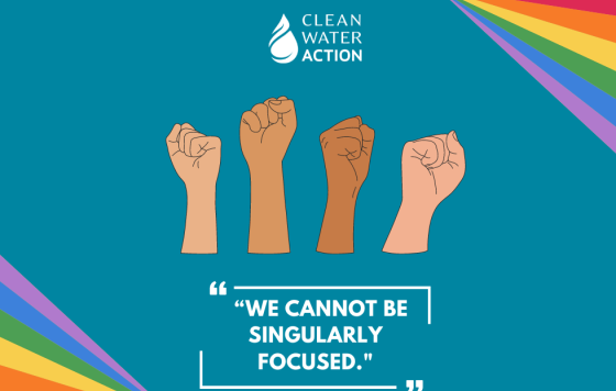 Image of a graphic design that has a Clean Water Action logo, hands forming fists, and text that reads " We Cannot Be Singularly Focused "