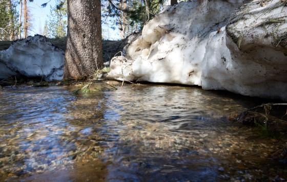 Snow runoff creating flooding in the Sierra Nevada Mountains. 