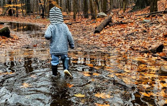 Image of a kid walking in water with fall leaves. Photo by Kerry Doyle.