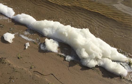 PFAS foam on the beach