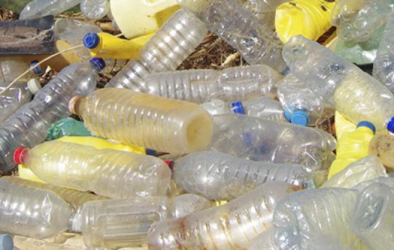 Rhode Island Bottles - Zero Waste 