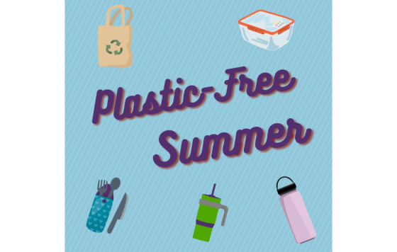 Graphic design that says Plastic Free Summer with images of Reusables