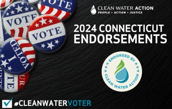 Graphic design with vote buttons and text that says Clean Water Action 2024 Connecticut Endorsements