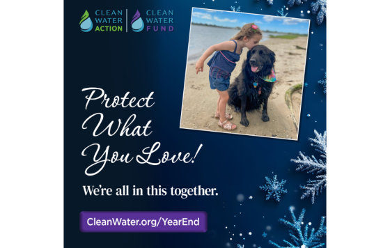 Graphic design that says Protect What You Love Make a year end gift today with an image of a child kissing a dog on the beach