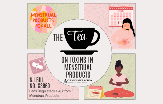 Graphic design for the tea on toxins in menstrual products