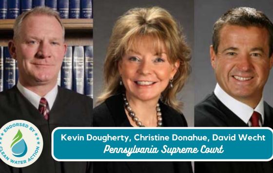 David Wecht, Kevin Dougherty, and Christine Donahue for retention to the Pennsylvania Supreme Court!