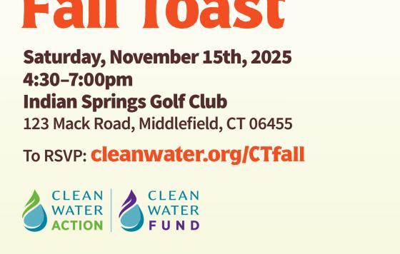 invite to CT Fall Toast