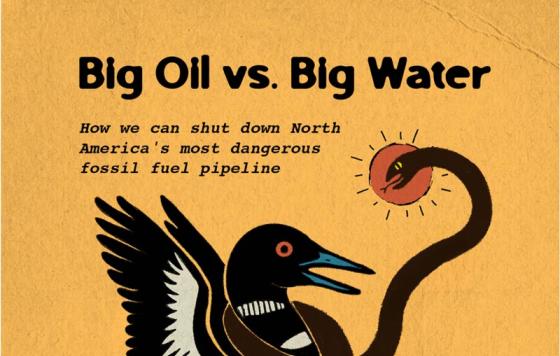 Big Oil vs. Big Water  How we can shut down North  America's most dangerous  fossil fuel pipeline  1  November 18, 7 p.m. -8:30 p.m. ET  Virtual Event