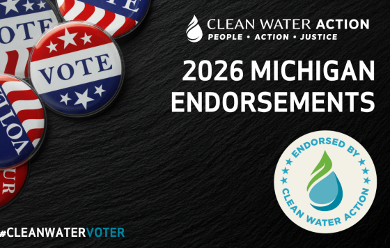 2026 Michgian Endorsements