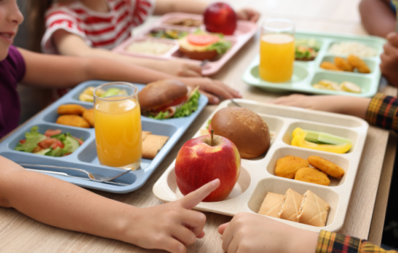 Reusable lunch trays