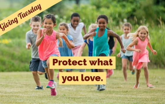 On Giving Tuesday, protect what you love - donate now!