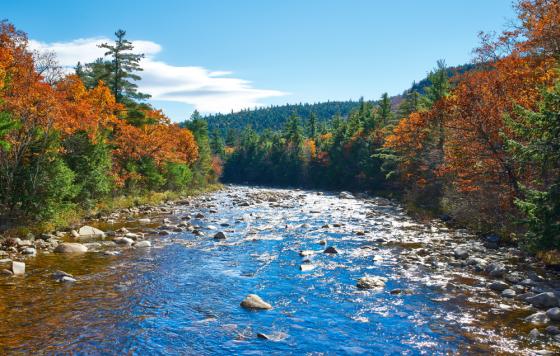 Swift River, White Mountain National Forest. Credit: haveseen / Shutterstock