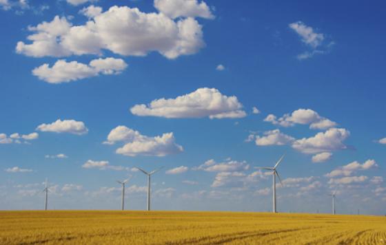 Texas wind farm. Credit - iStock Photo