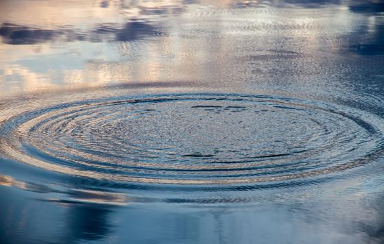 Ripples on the surface of the water. Credit: 2xWilfinger / Shutterstock