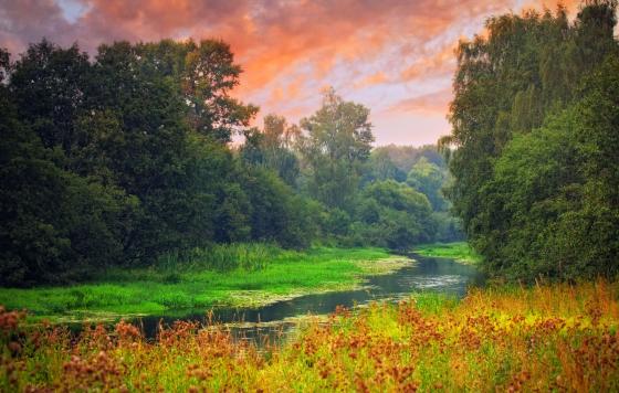 Pink Sky, a stream in a forest. Photo credit: Julia Shepeleva / Shutterstock