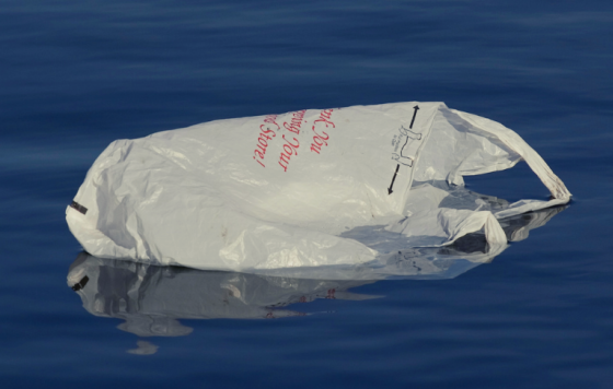 Plastic bag floating on water