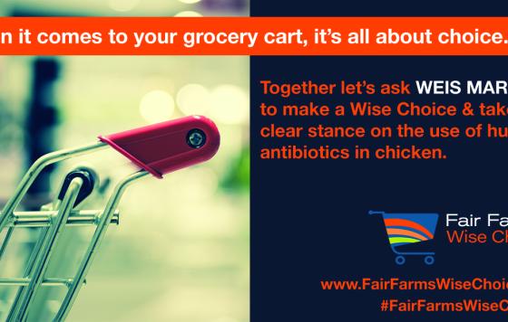 When it comes to your grocery cart, it's all about choice.