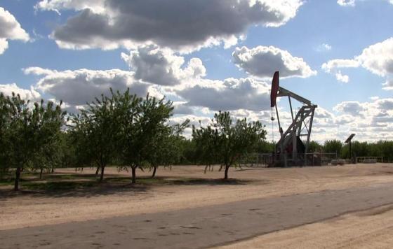 An oil well near an almond farm in Shafter CA