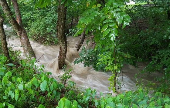 A stream in Howard County during a rain storm.
